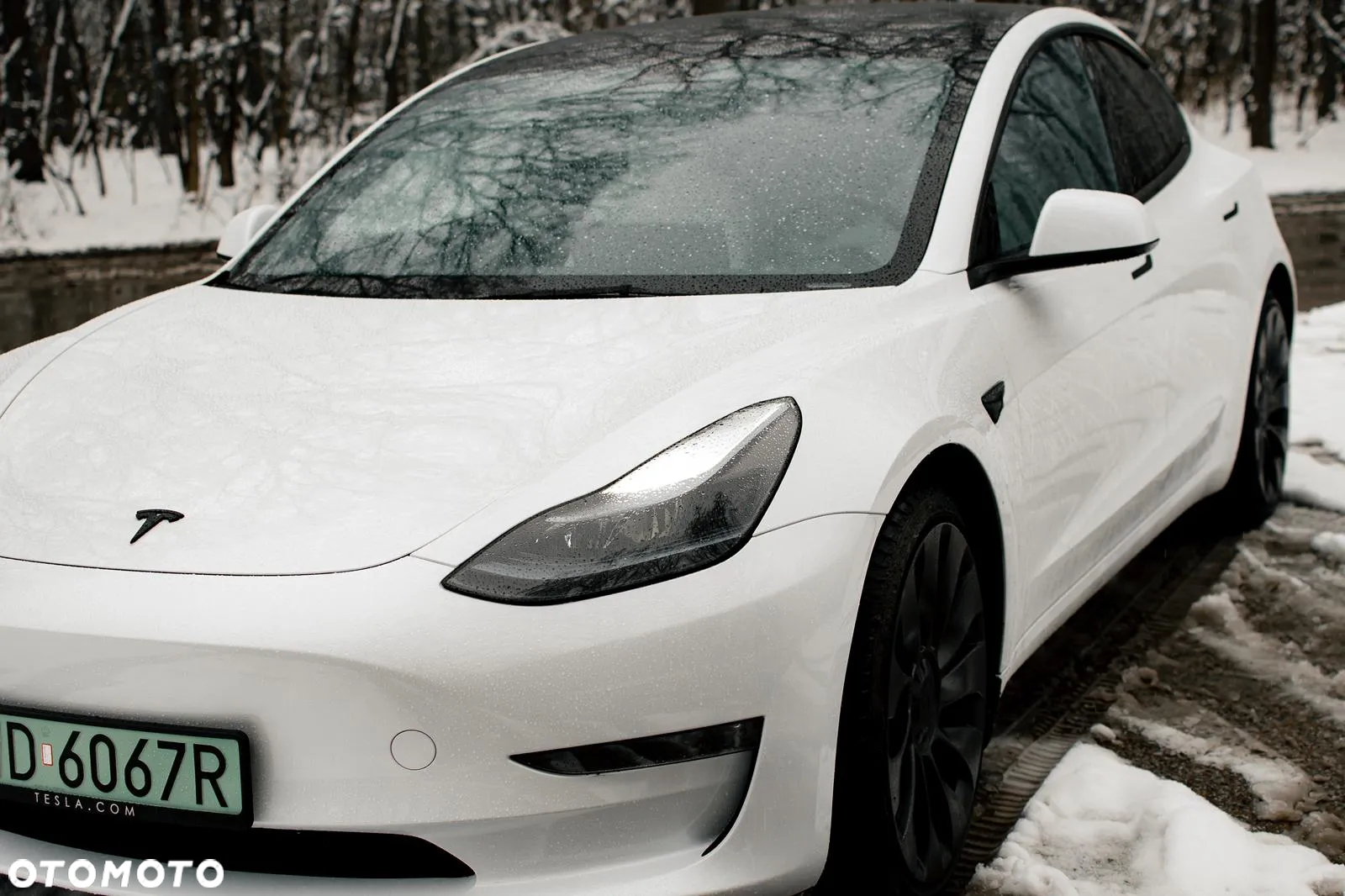 Tesla Model 3 Performance AWD - 14