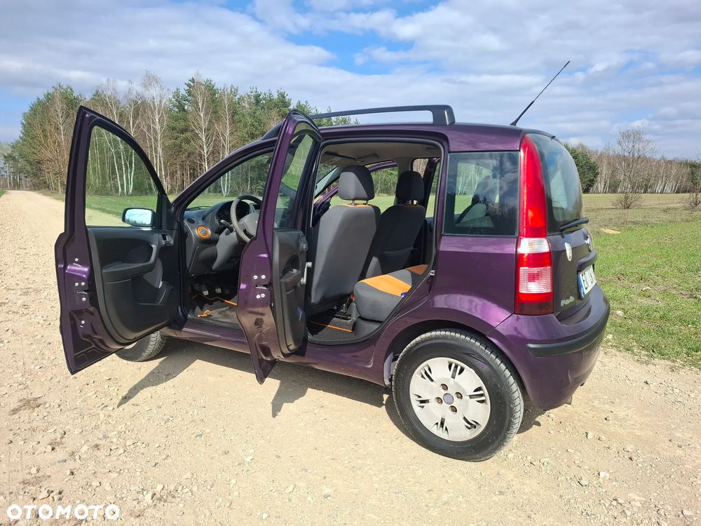 Fiat Panda 1.2 Active - 36