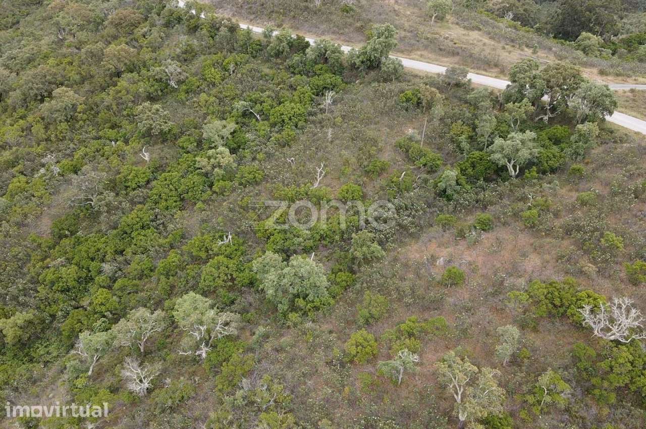 Terreno Rústico com 11.000m2 em Monte Velho, São Barnabé - Grande imagem: 3/10