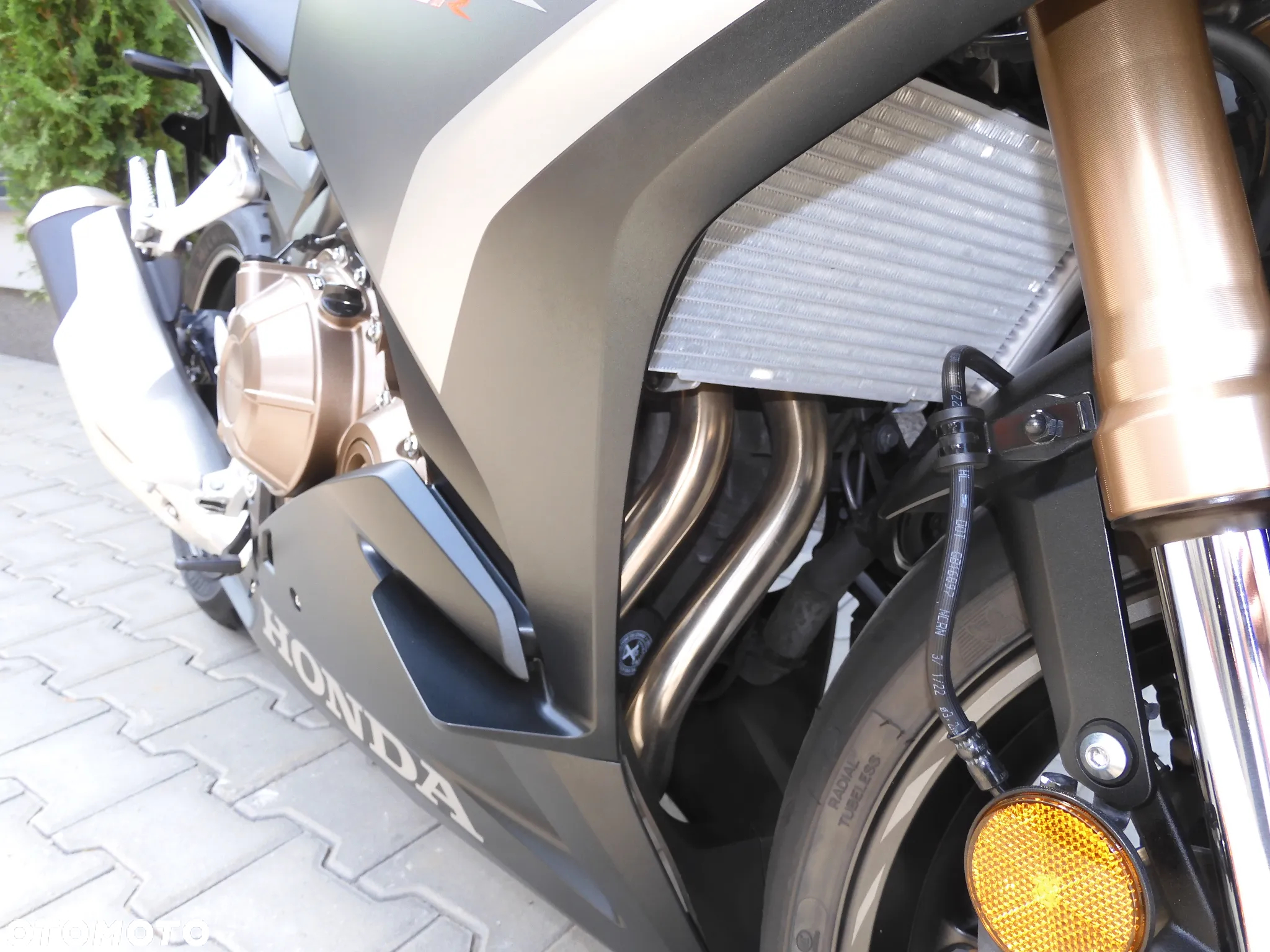 Honda CBR - 6