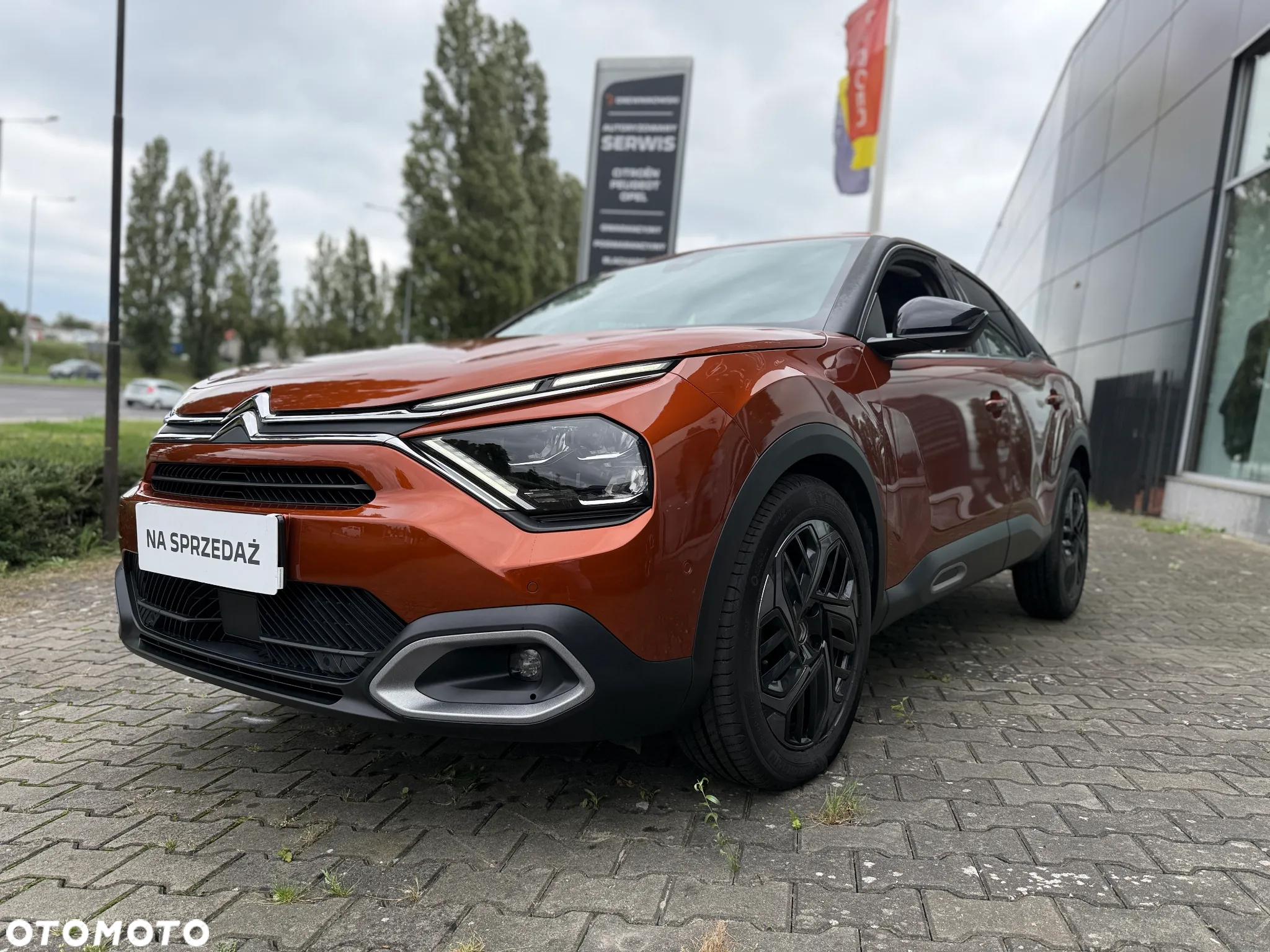 Citroën C4 1.2 PureTech Shine S&S EAT8 - 2