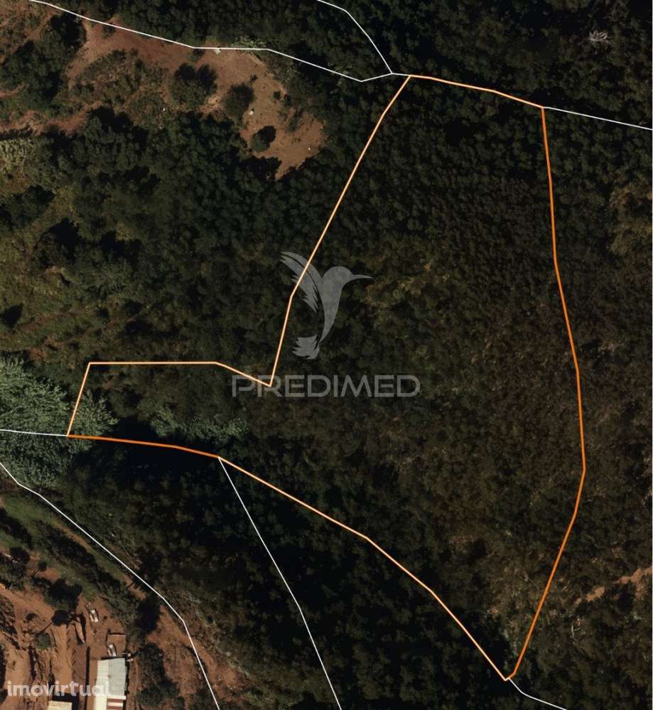 Terreno Rústico - Ideal para Projeto Agrícola - Grande imagem: 3/4