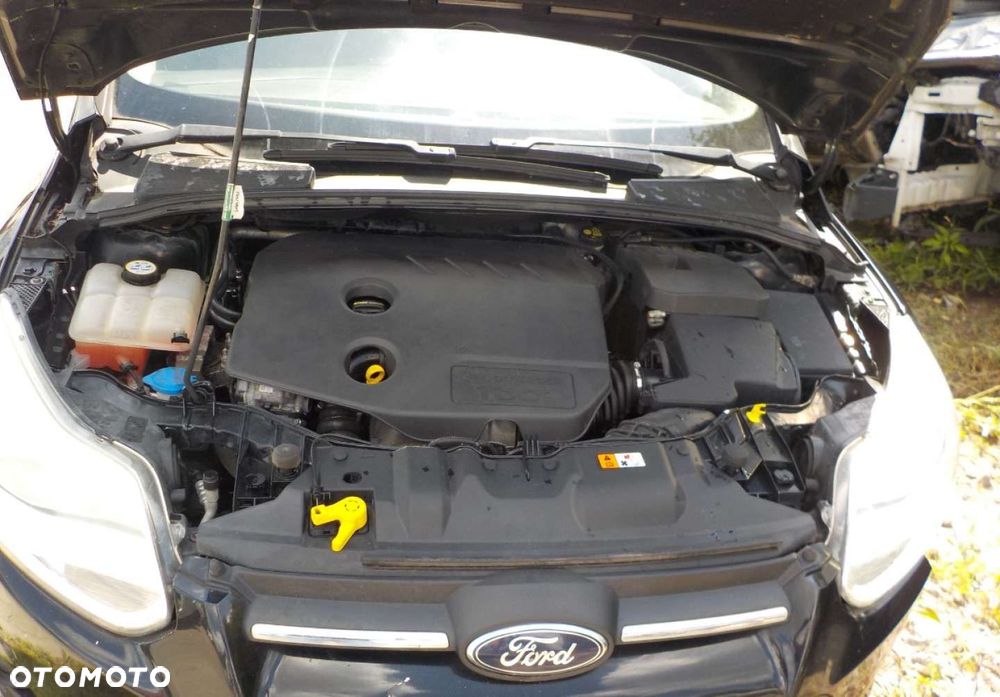 Ford Focus - 31
