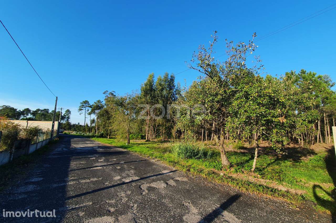 Terreno rustico - Grande imagem: 2/18