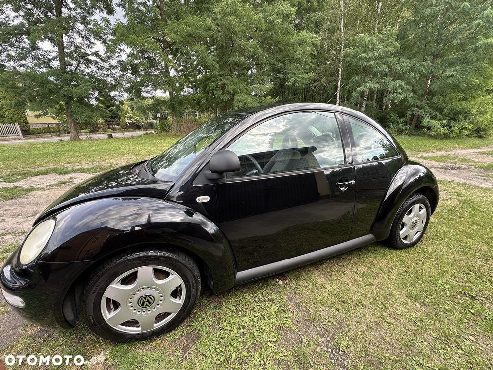 Volkswagen Beetle - 6