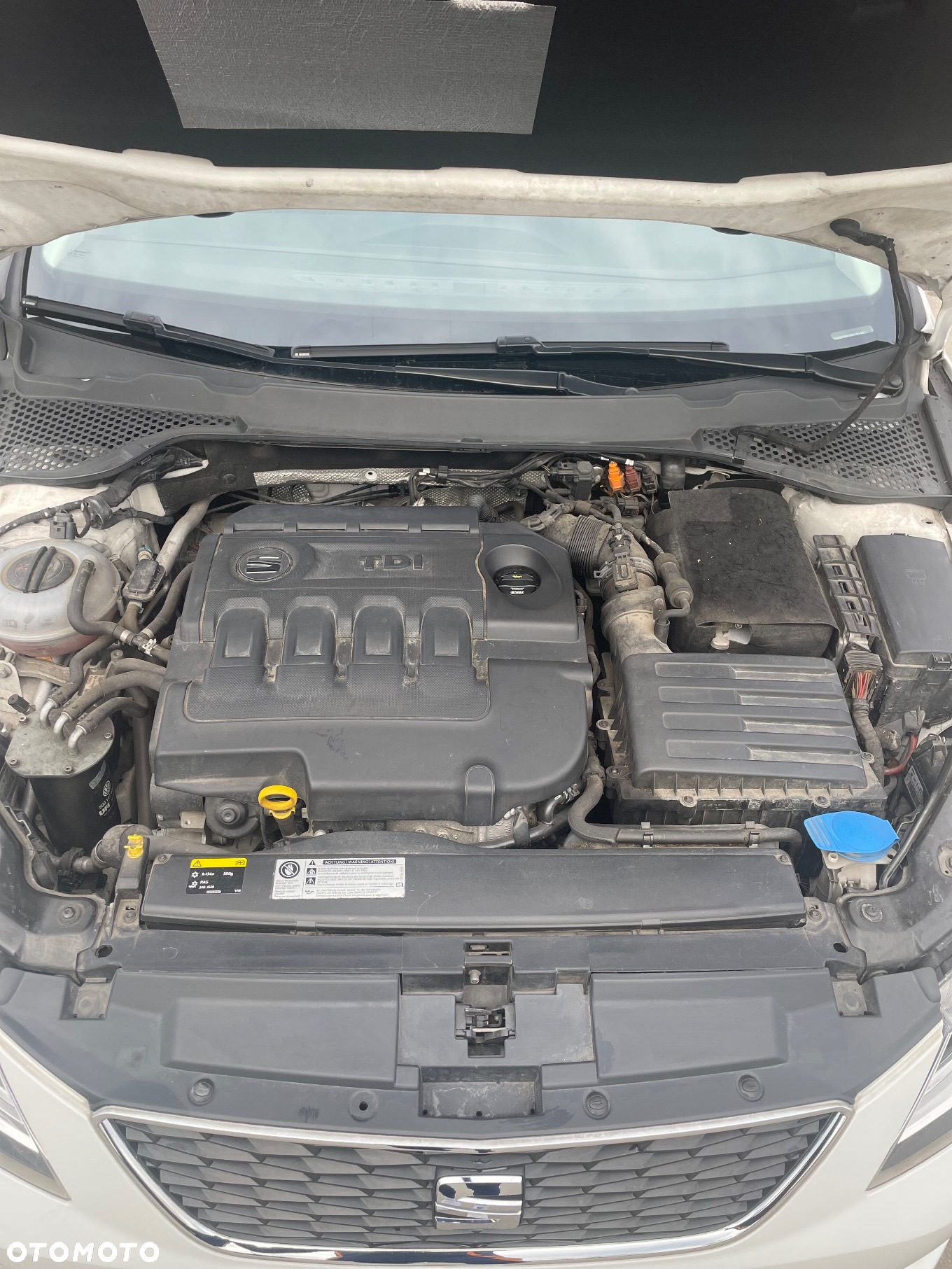Seat Leon 1.6 TDI ECOMOTIVE Style - 19