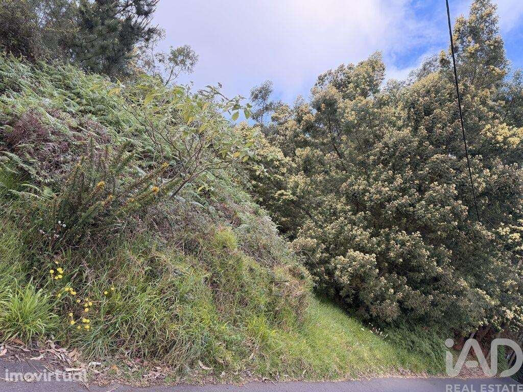 Terreno para construção em Santa Cruz - Grande imagem: 2/16