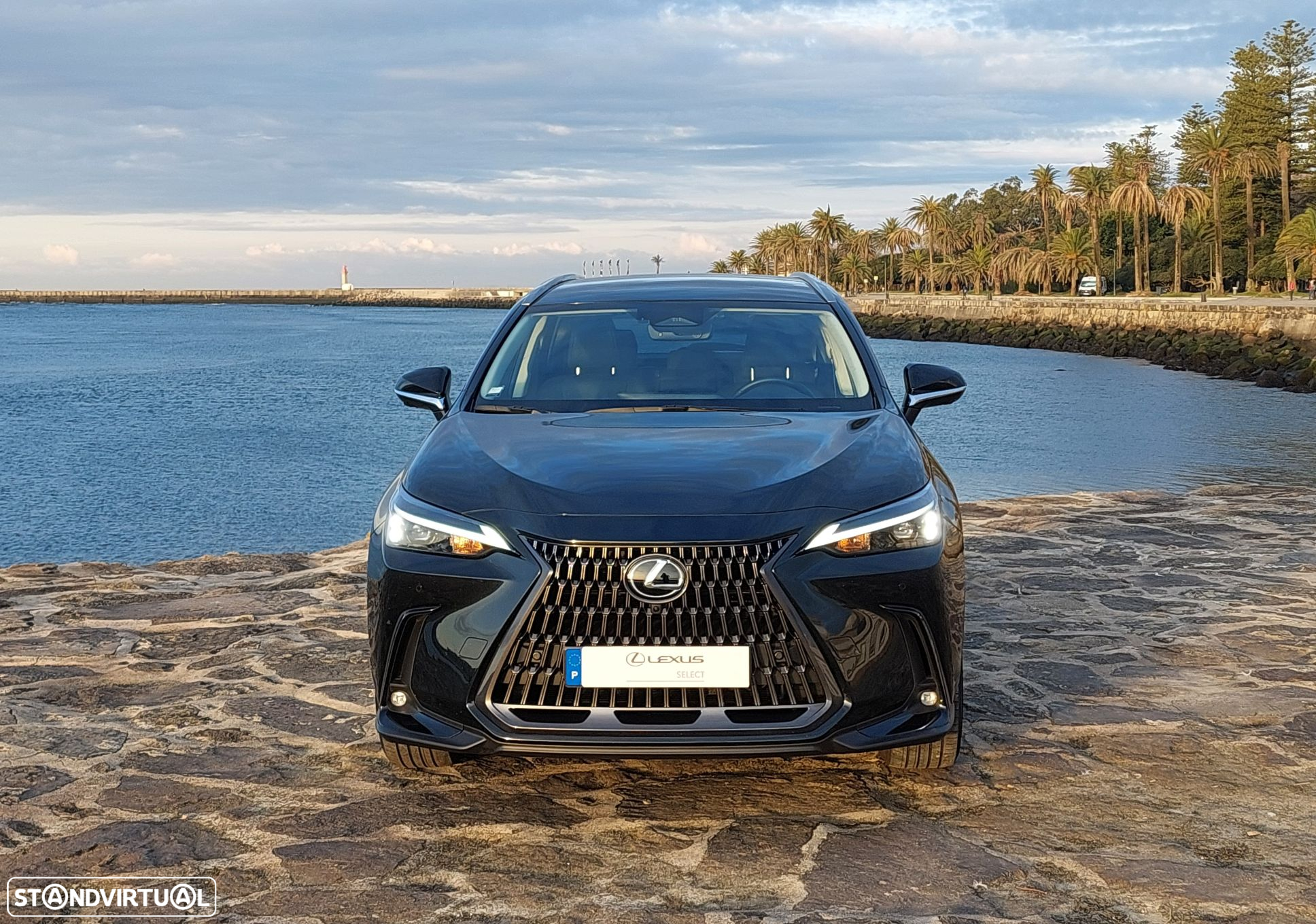 Lexus NX 450h+ - 8