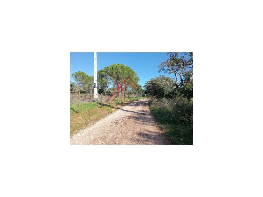 Terreno Rústico - 25.000 m² em Lagos, com Ligações, Acessos e Local... - Grande imagem: 2/10