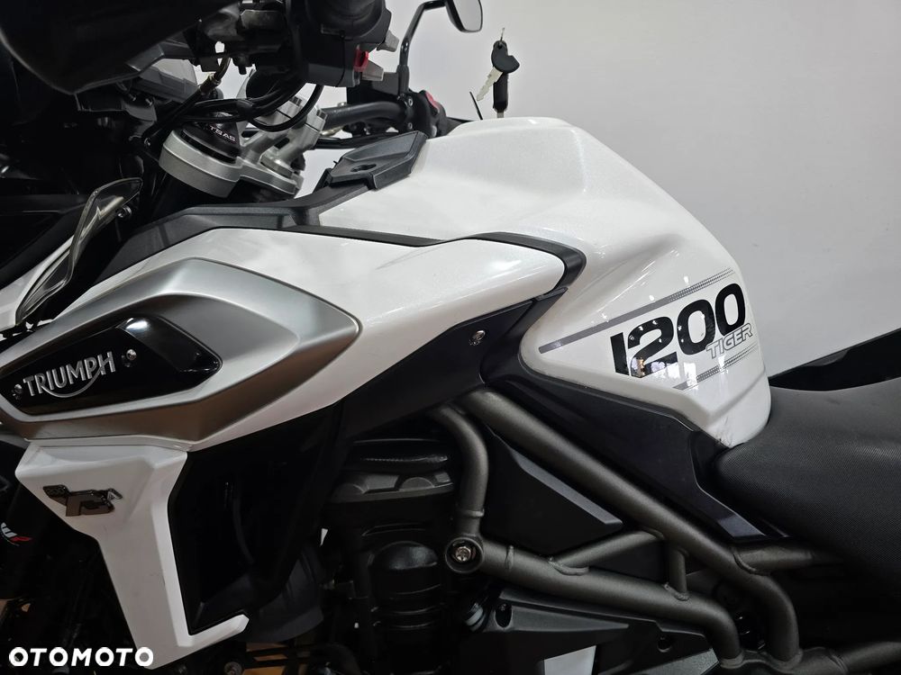 Triumph Tiger - 15