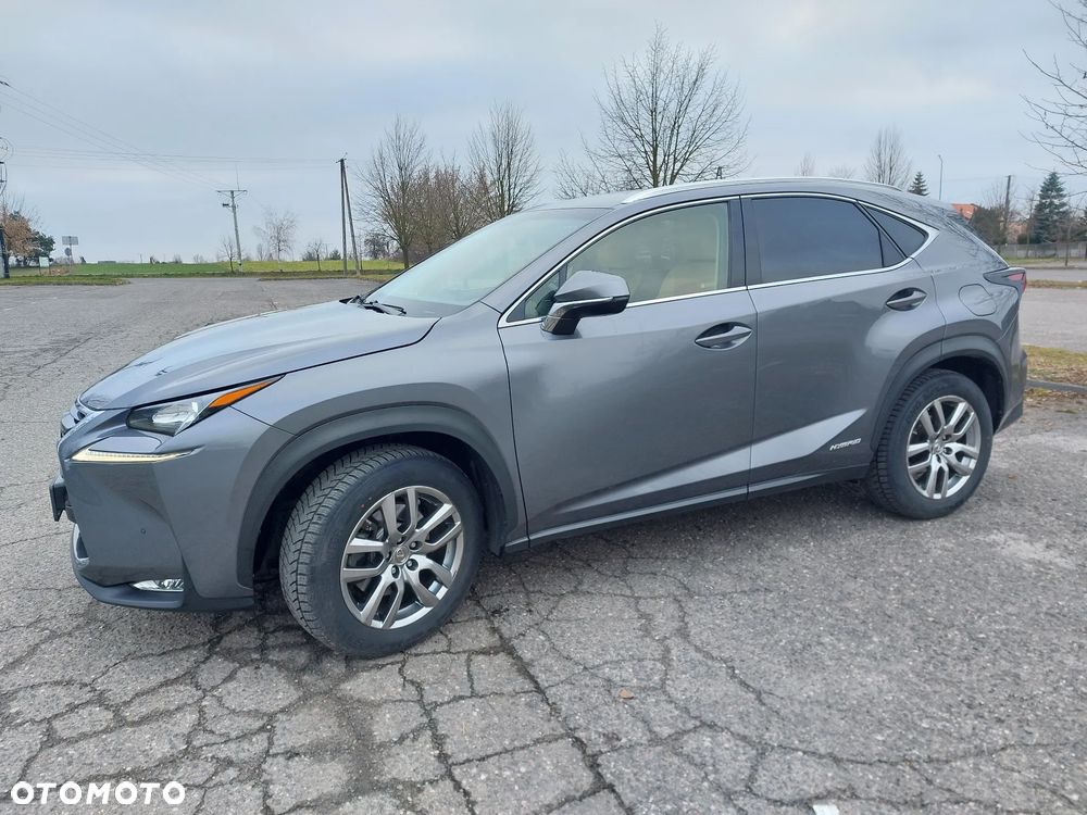 Lexus NX 300 Comfort AWD - 2