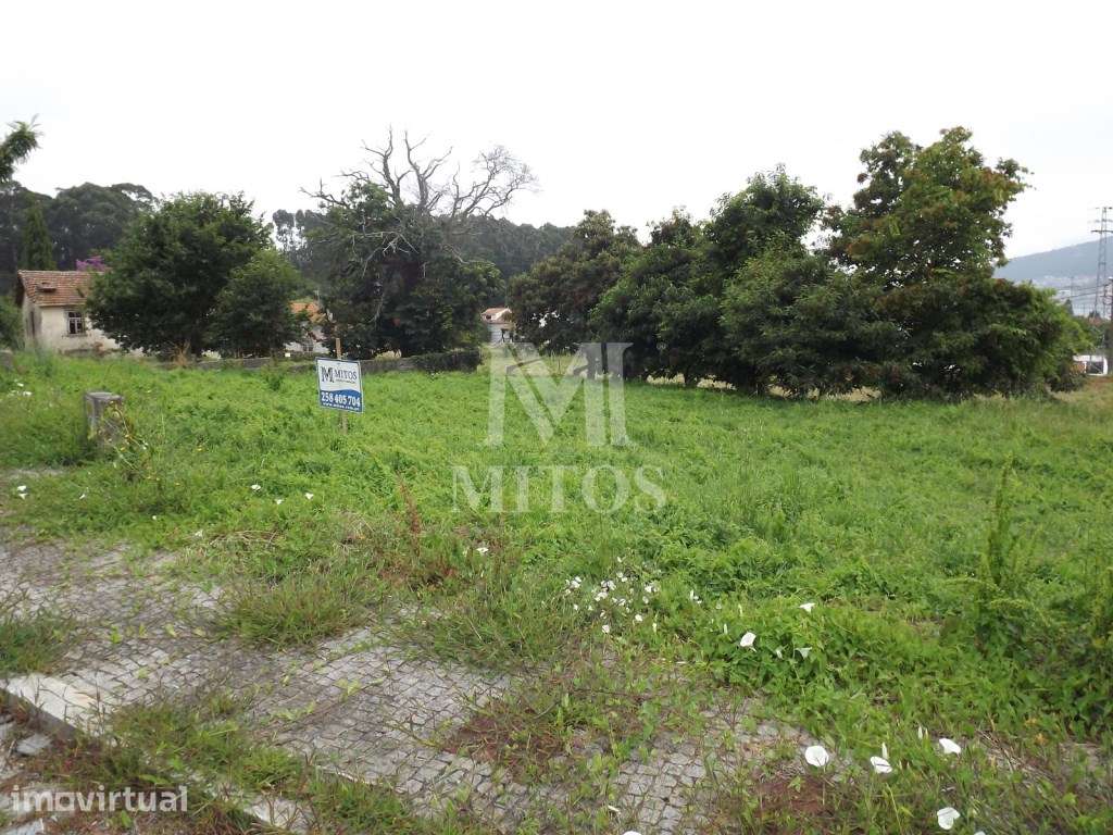 Lote - Seixas - Grande imagem: 2/5