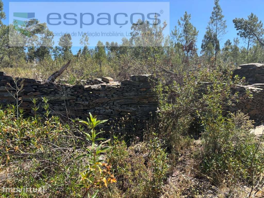 Terreno com poço - Grande imagem: 4/13