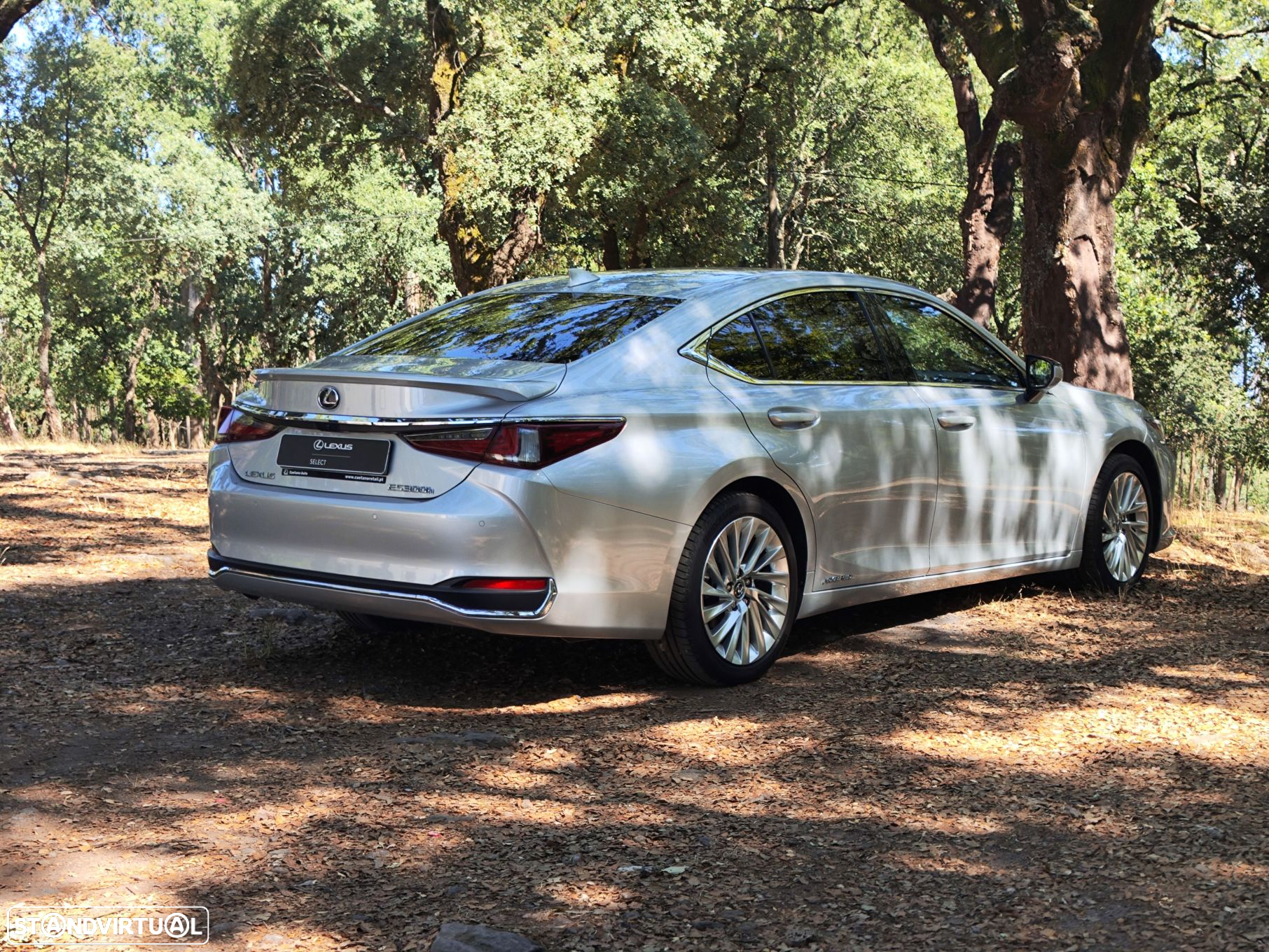 Lexus ES 300h Executive+ - 5