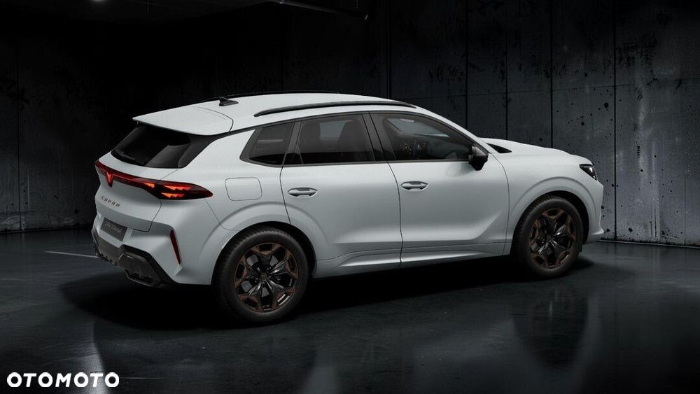 Cupra Terramar 2.0 TSI 4Drive DSG - 6