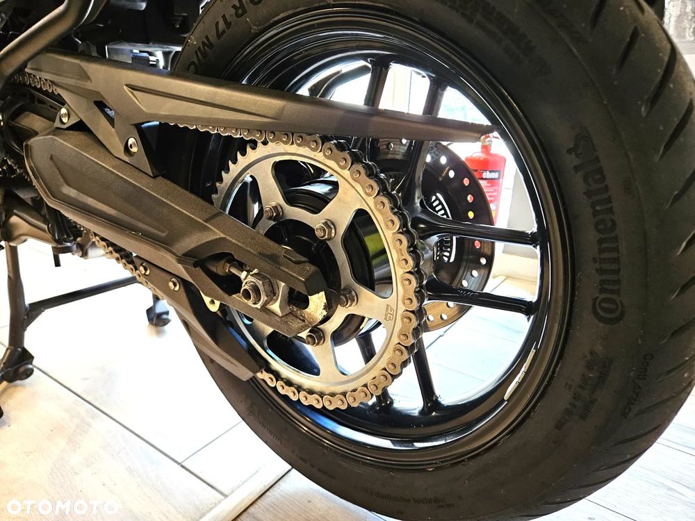 Triumph Tiger - 21
