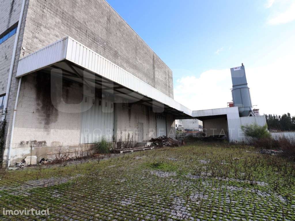 Armazém | ARRENDA | Olival (VN Gaia) - Grande imagem: 4/17