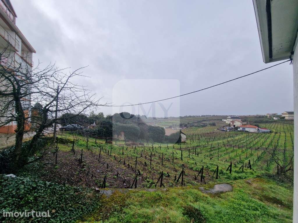 Espaço Comercial Licenciado para Padaria em Sanfins do Douro - Grande imagem: 4/15