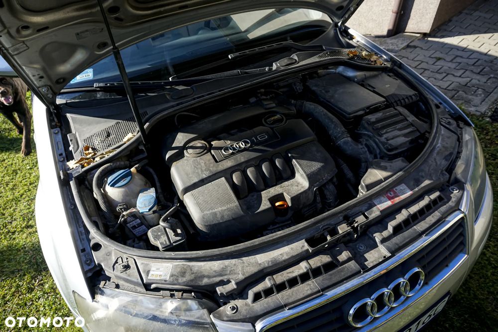 Audi A3 3-drzwiowe 1.6 Ambiente - 3