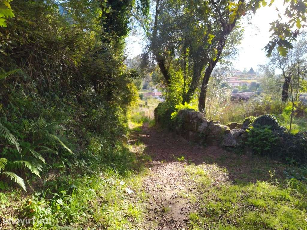 Terreno Agrícola - Fiscal - Grande imagem: 5/7