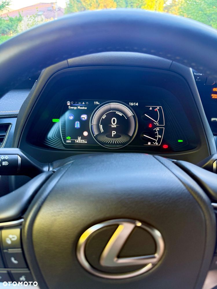 Lexus UX 250h GPF F Sport Design+ 2WD - 19