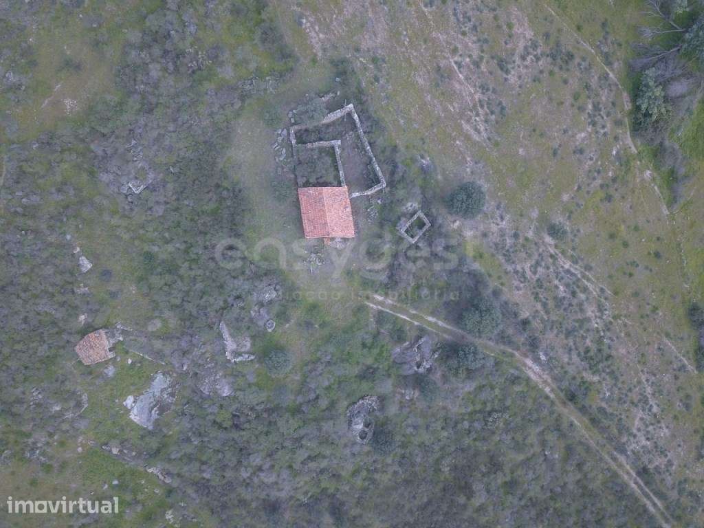 Herdade de 2,725 hectares junto a Monsanto e Idanha-a-Velha | Natur... - Grande imagem: 4/11