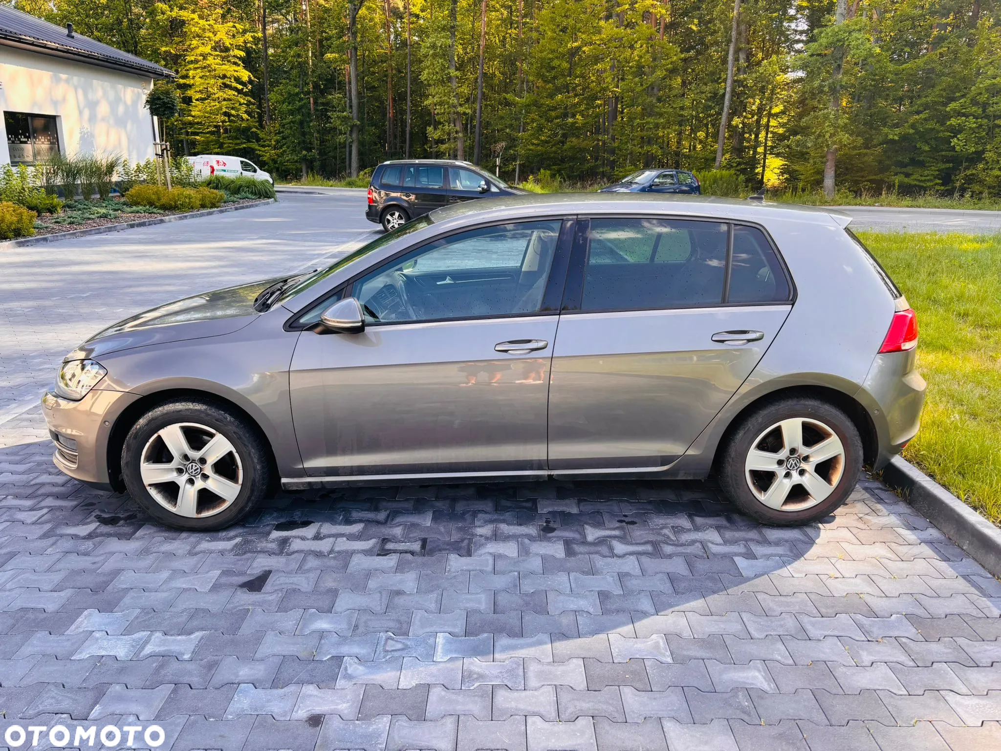 Volkswagen Golf 2.0 TDI (BlueMotion Technology) Highline - 5