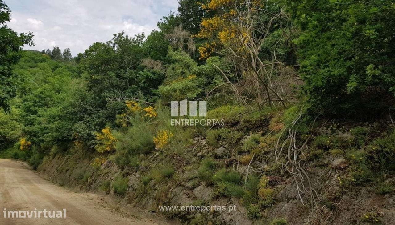 Venda Terreno, Frente Estrada, Ovil, Baião - Grande imagem: 2/11