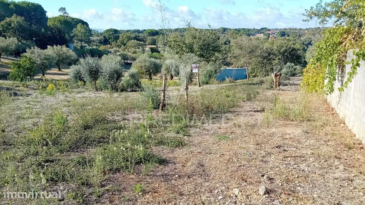 Terreno para construção em Seiça - Grande imagem: 2/21