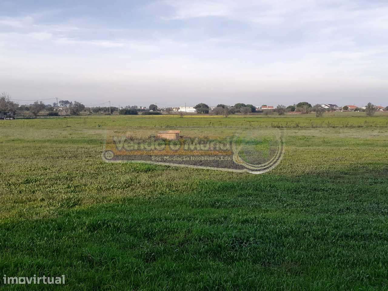 Terreno em Benavente (B501) - Grande imagem: 2/6