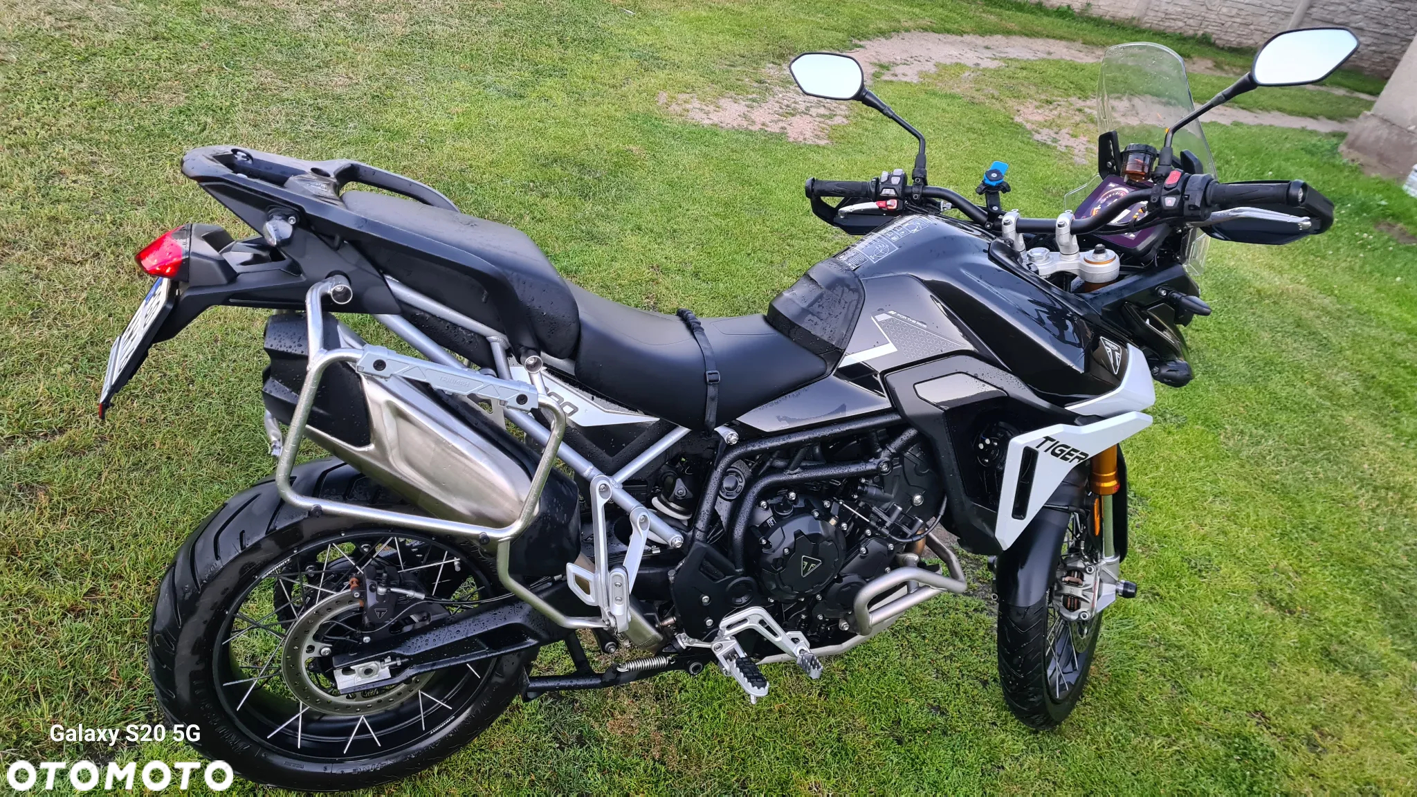 Triumph Tiger - 15