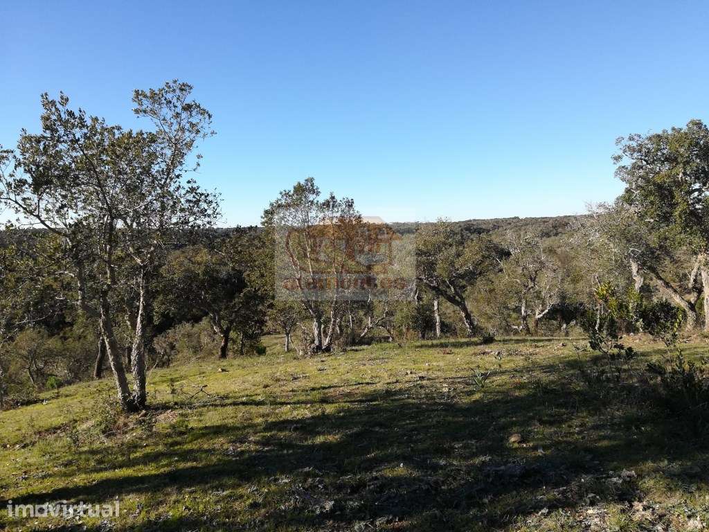 Hotel Rural: PRONTO A CONSTRUIR com todos os projectos aprovados - Grande imagem: 2/16