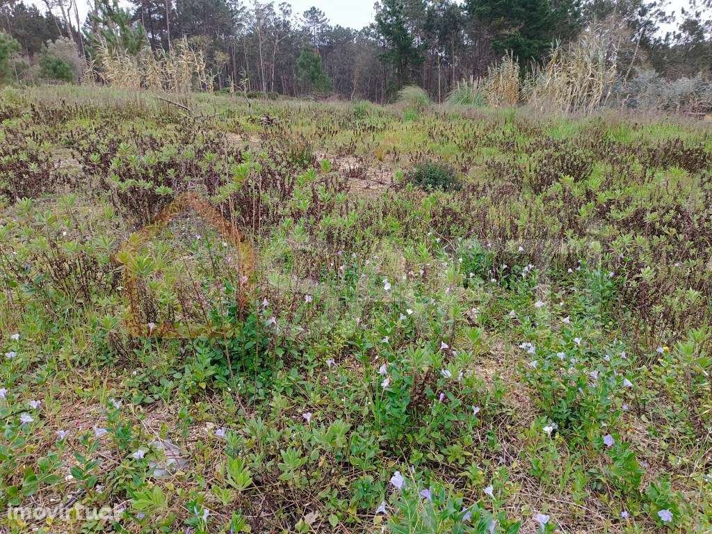 Terreno Misto - Grande imagem: 2/4