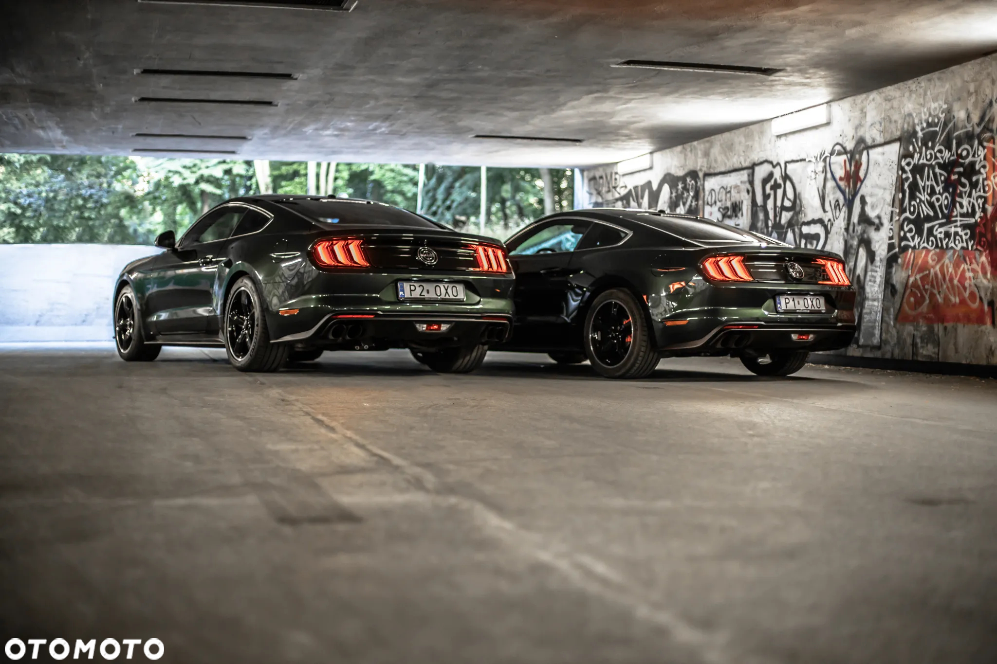 Ford Mustang 5.0 V8 Bullitt - 16