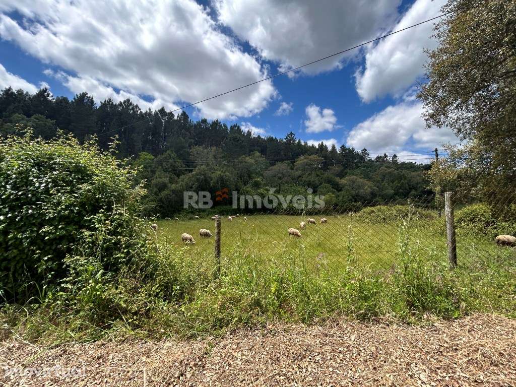 Terreno rústico com PDM Urbano - Carvalhais, Ferreira do Zêzere - Grande imagem: 2/25