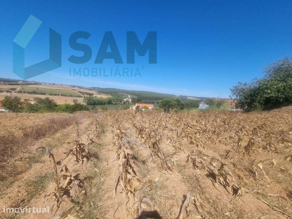 Terreno com Vista Desafogada em Área Urbanizável-Campelos - Grande imagem: 5/11