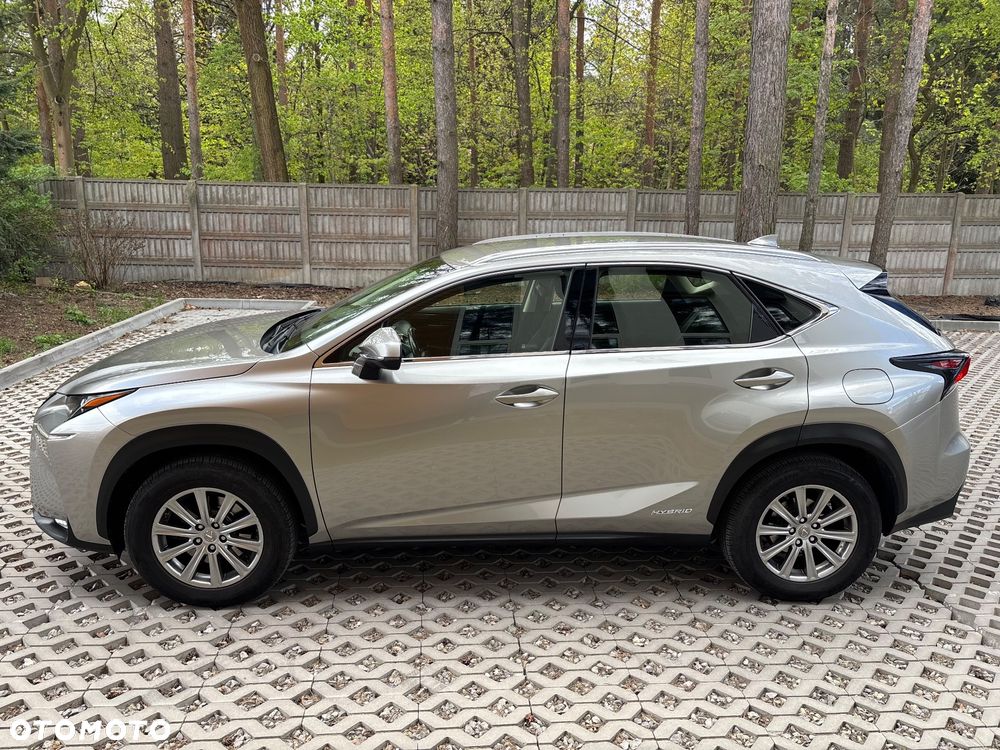 Lexus NX 300h Elite AWD - 13