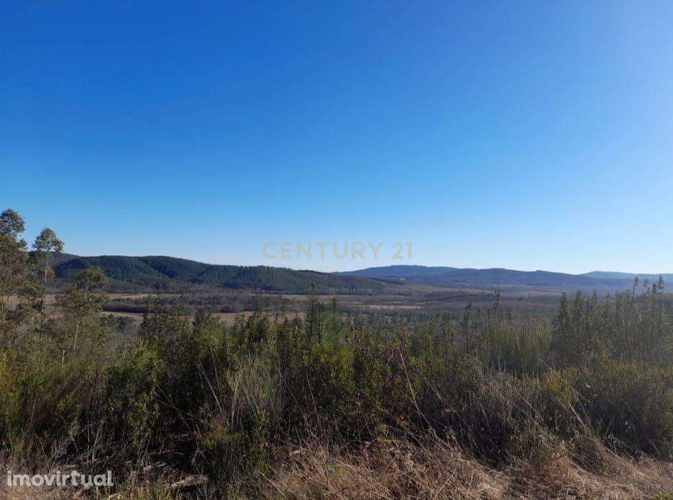 Terreno Agrícola 12Ha em Capinha, Fundão - Grande imagem: 3/9