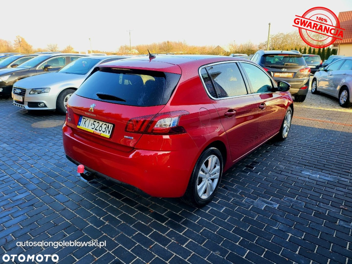 Peugeot 308 - 10