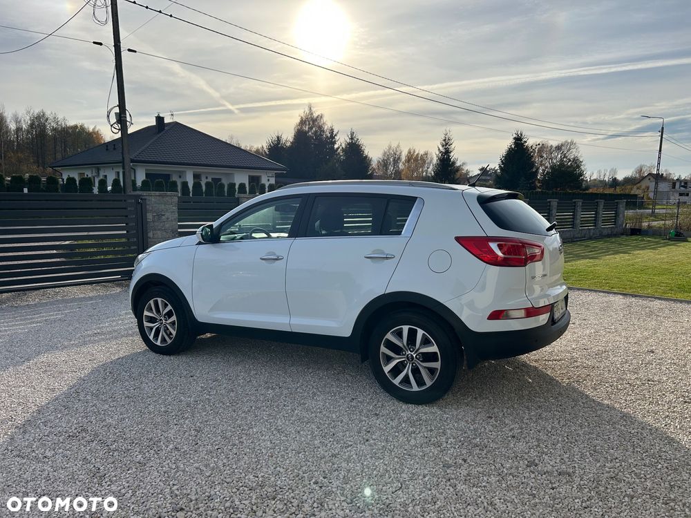 Kia Sportage ver-1-6-gdi-business-line-l-2wd - 11