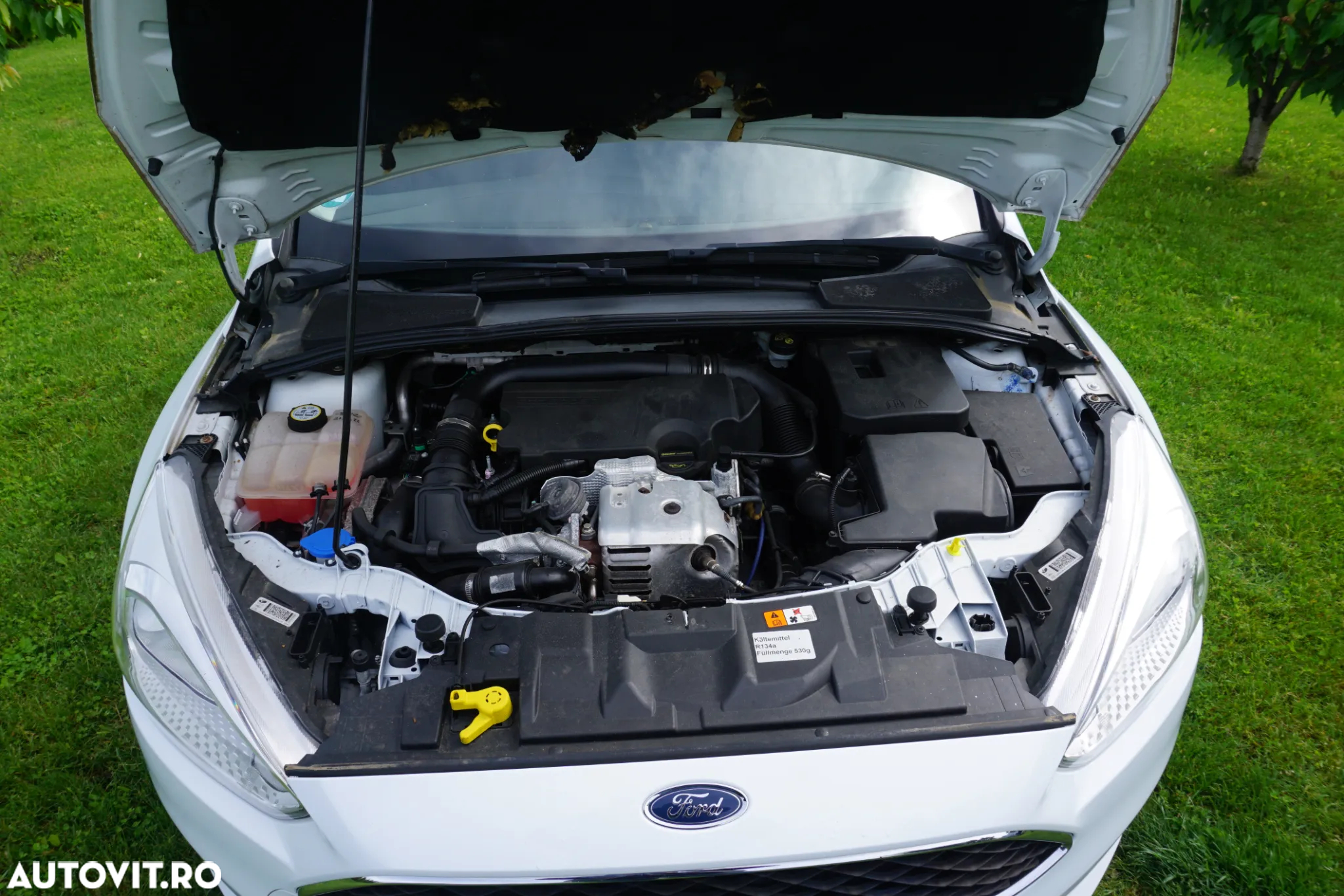 Ford Focus 1.0 EcoBoost Start Stop Trend - 26