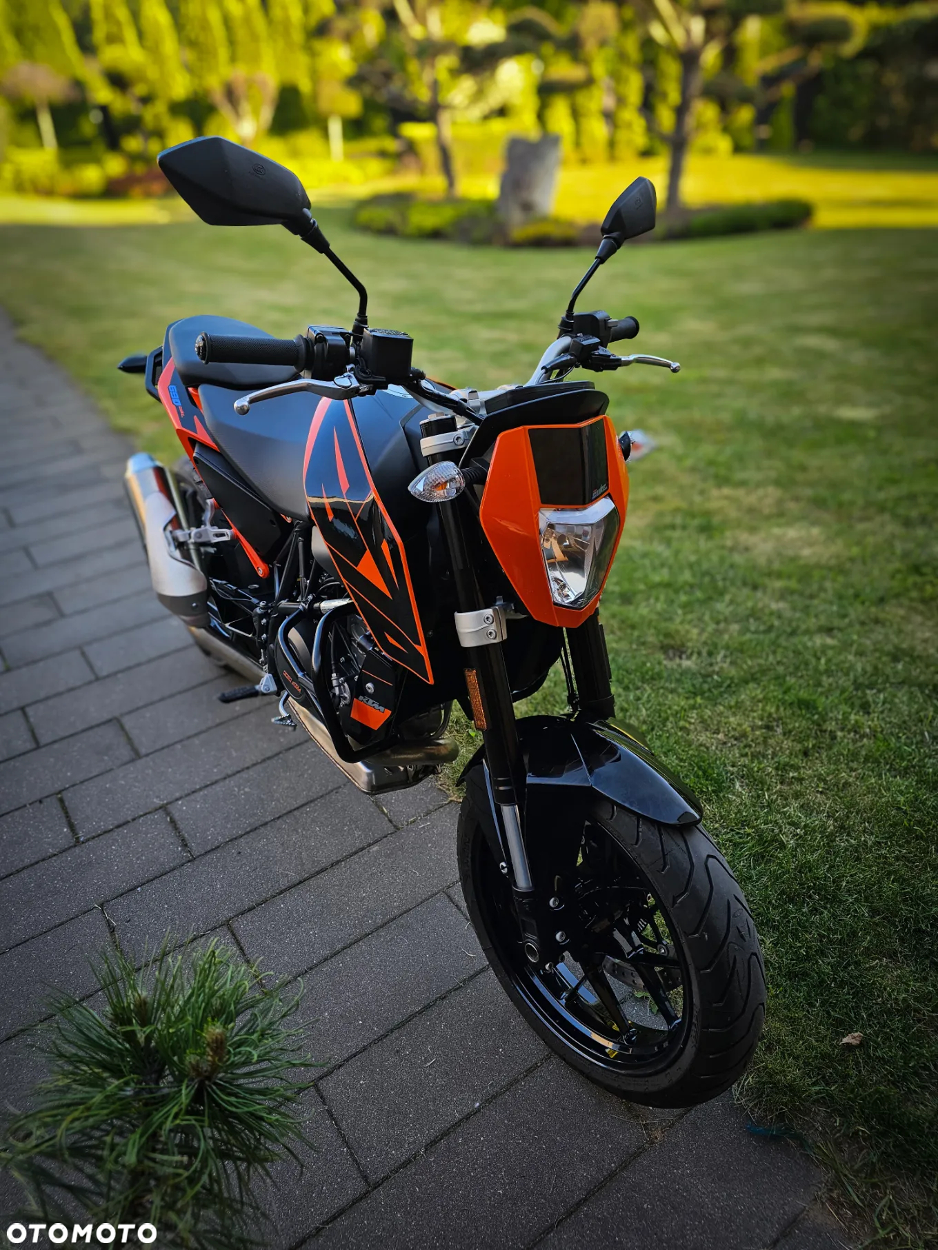 KTM Duke - 5