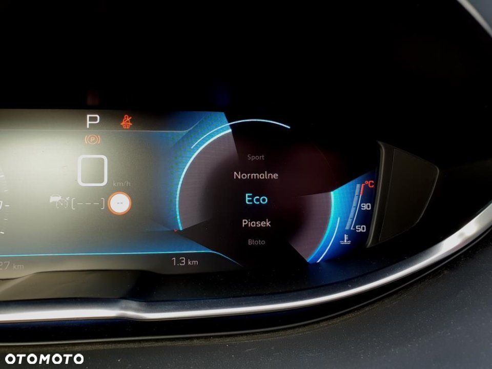 Peugeot 3008 - 29