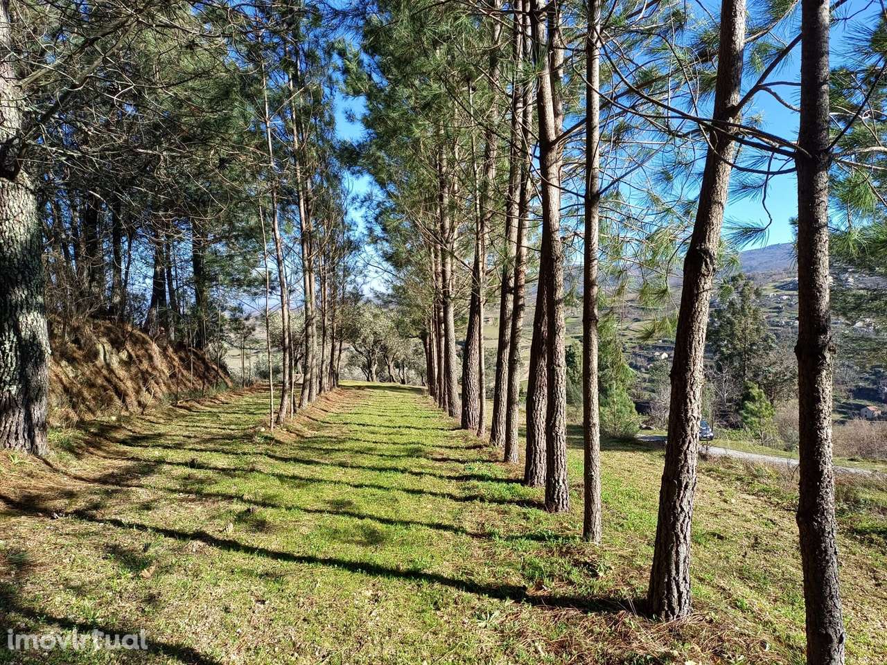 Quintinha T1 Venda em Figueiró da Serra e Freixo da Serra,Gouveia - Grande imagem: 3/9