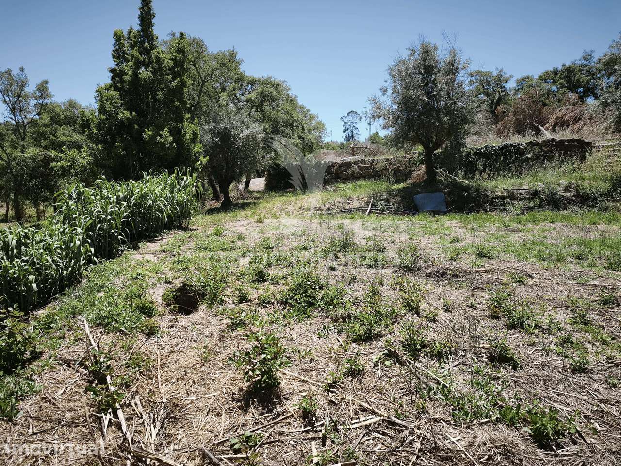 Terreno Rustico com cerca de 5400 m² - Grande imagem: 5/8