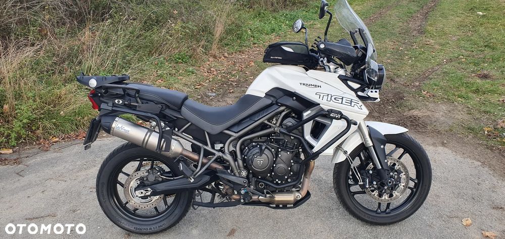 Triumph Tiger - 5