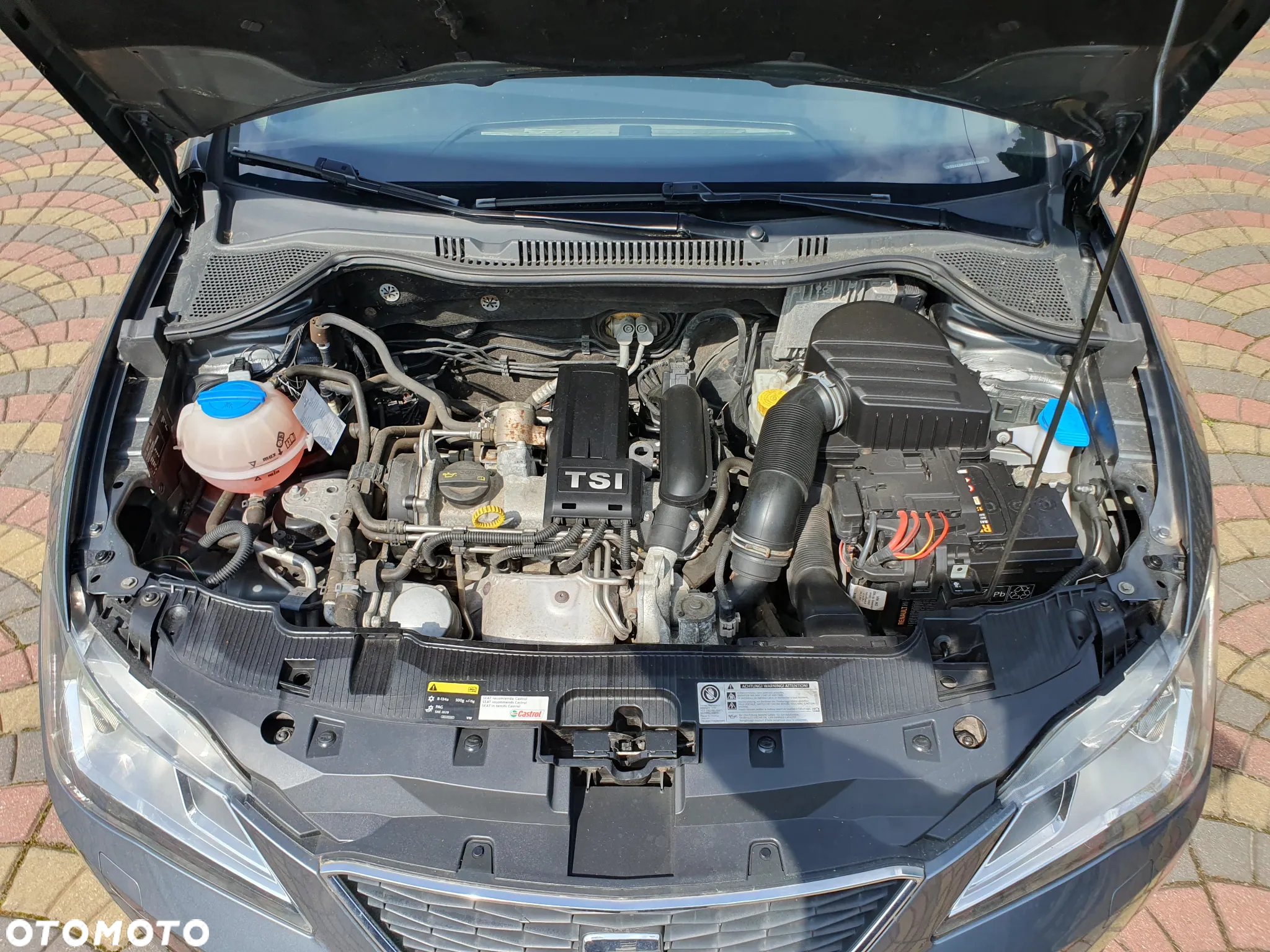 Seat Ibiza - 19