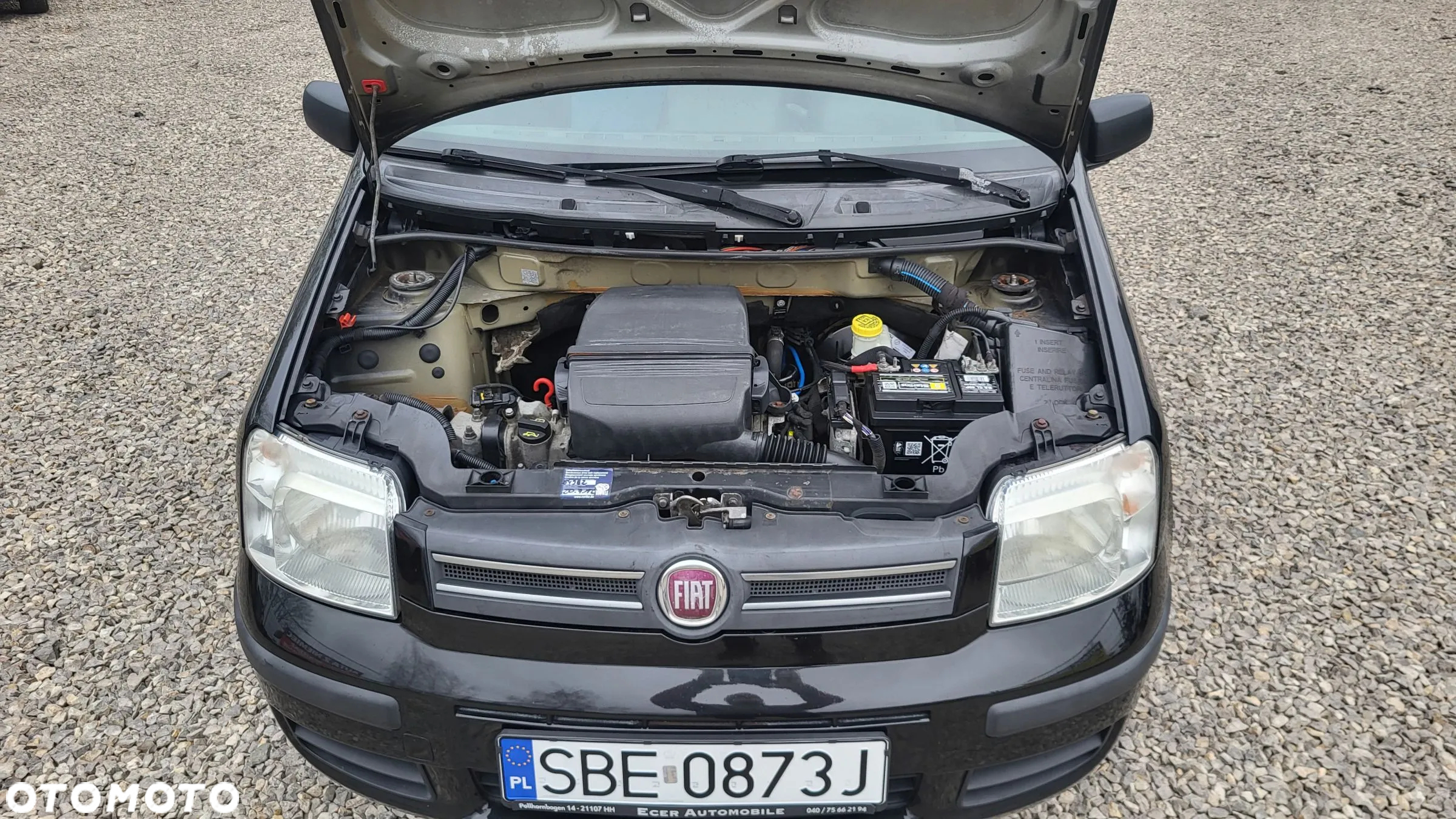 Fiat Panda 1.2 Dynamic - 18