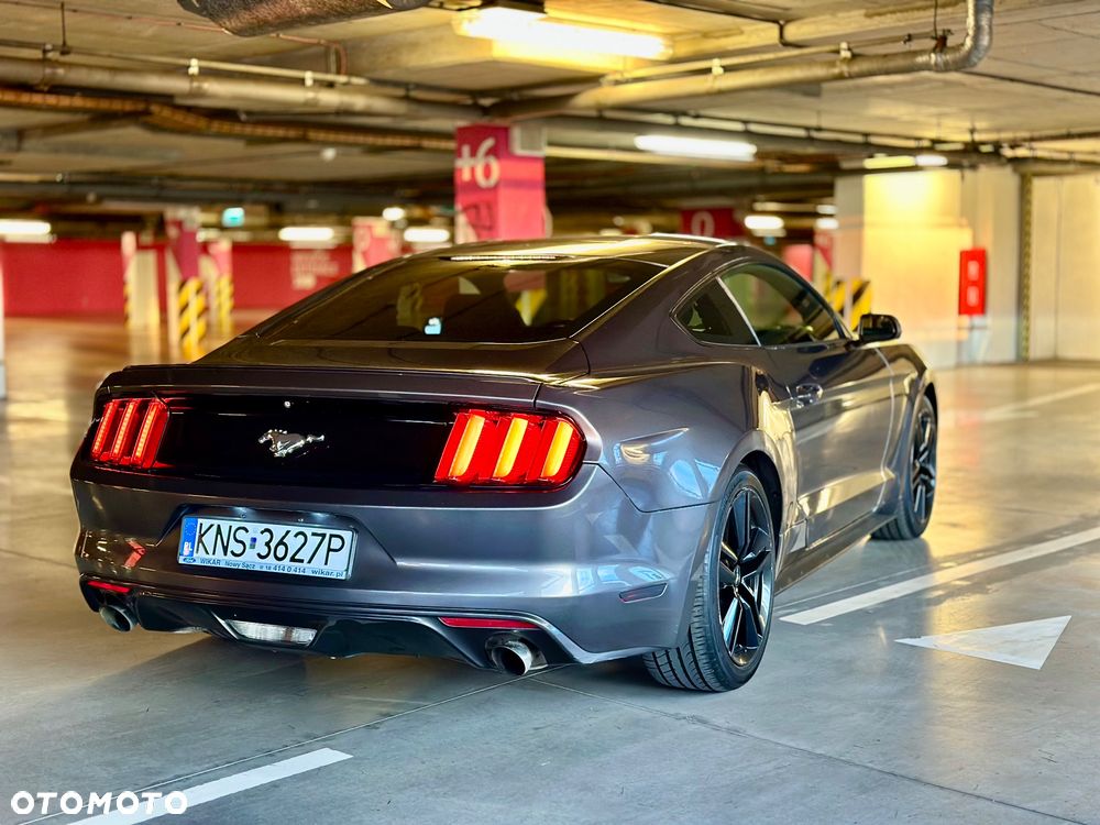 Ford Mustang 2.3 EcoBoost - 5