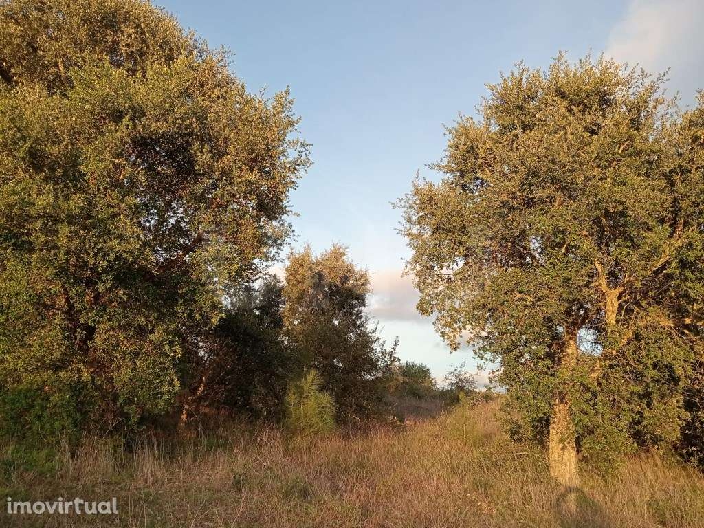 Terreno rústico para venda, Runa, Torres Vedras - Grande imagem: 5/9